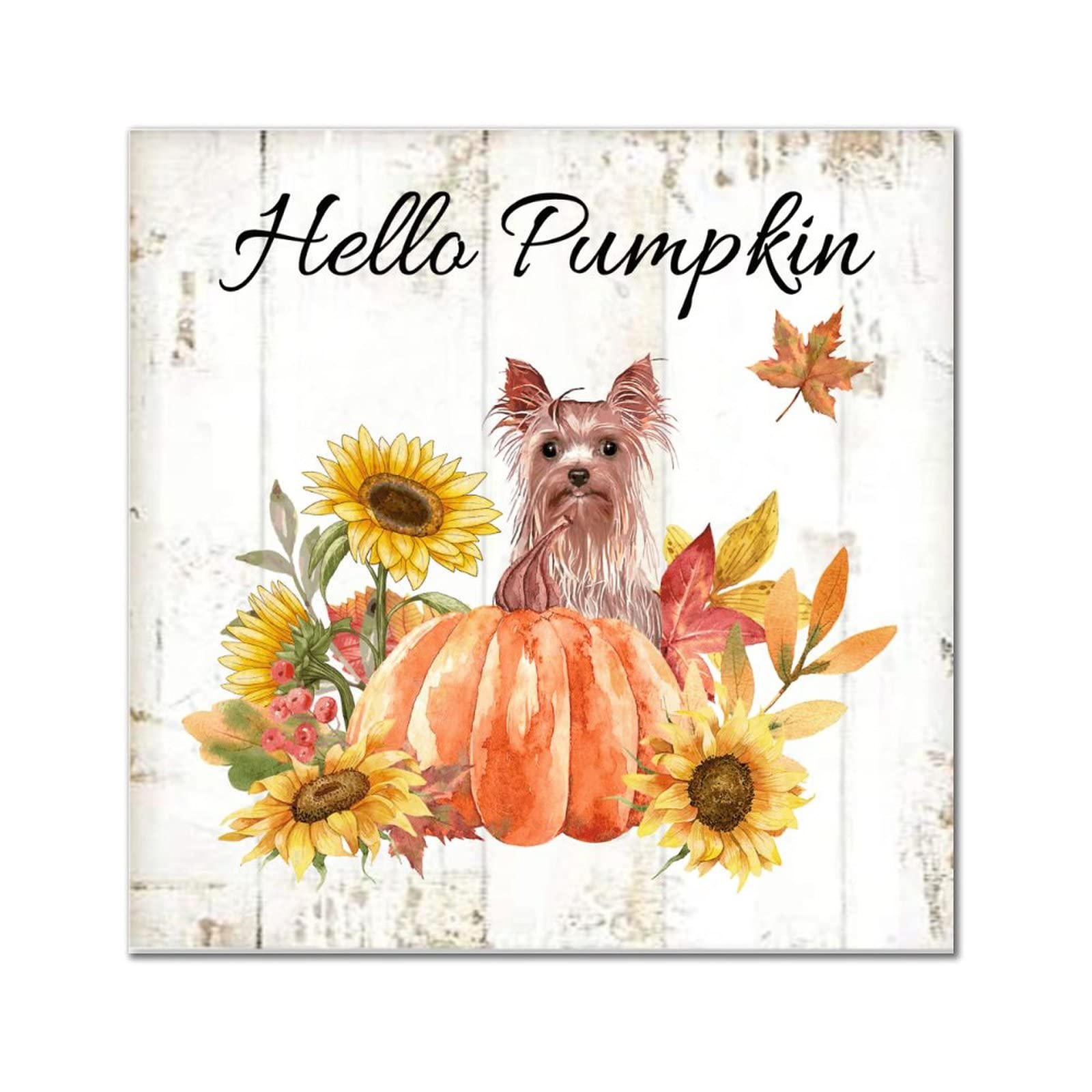 Cadeau pendaison de crémaillère original avec cette plaque en bois Hello Pumpkin Collie