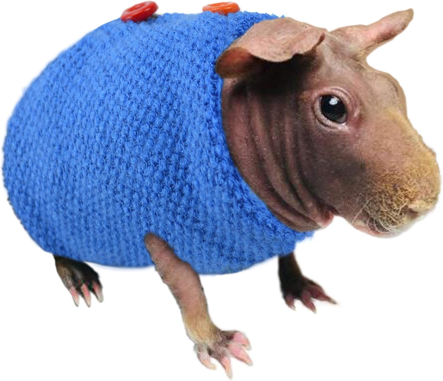 Sweater for Skinny Pig Hairless Guinea Pig Clothes to Protect The Skin