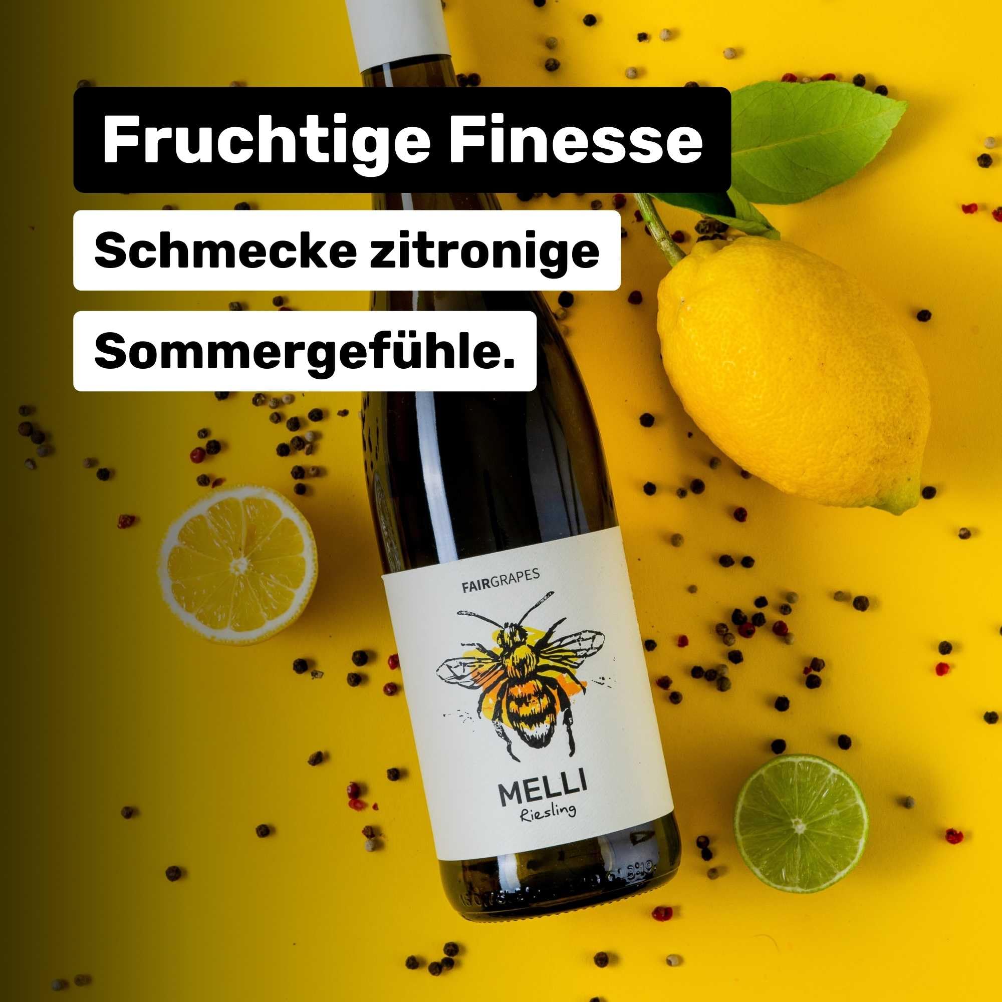 FairGrapes Riesling »Melli« | 89+ Punkte Falstaff | VDP.Gutswein | 2023 Weißwein Trocken | Limette & Grapefruit | Geschenkidee (6 x 0.75 l)