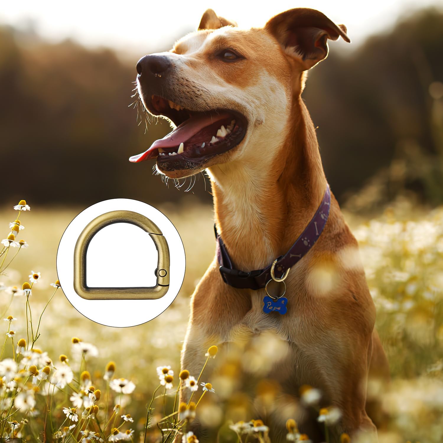 10pcs Metal D Ring Spring Key Hooks Keyring Clip for Keychain Buckle, Backpacks Handbag Purse Hardware, DIY Crafts - Image 4