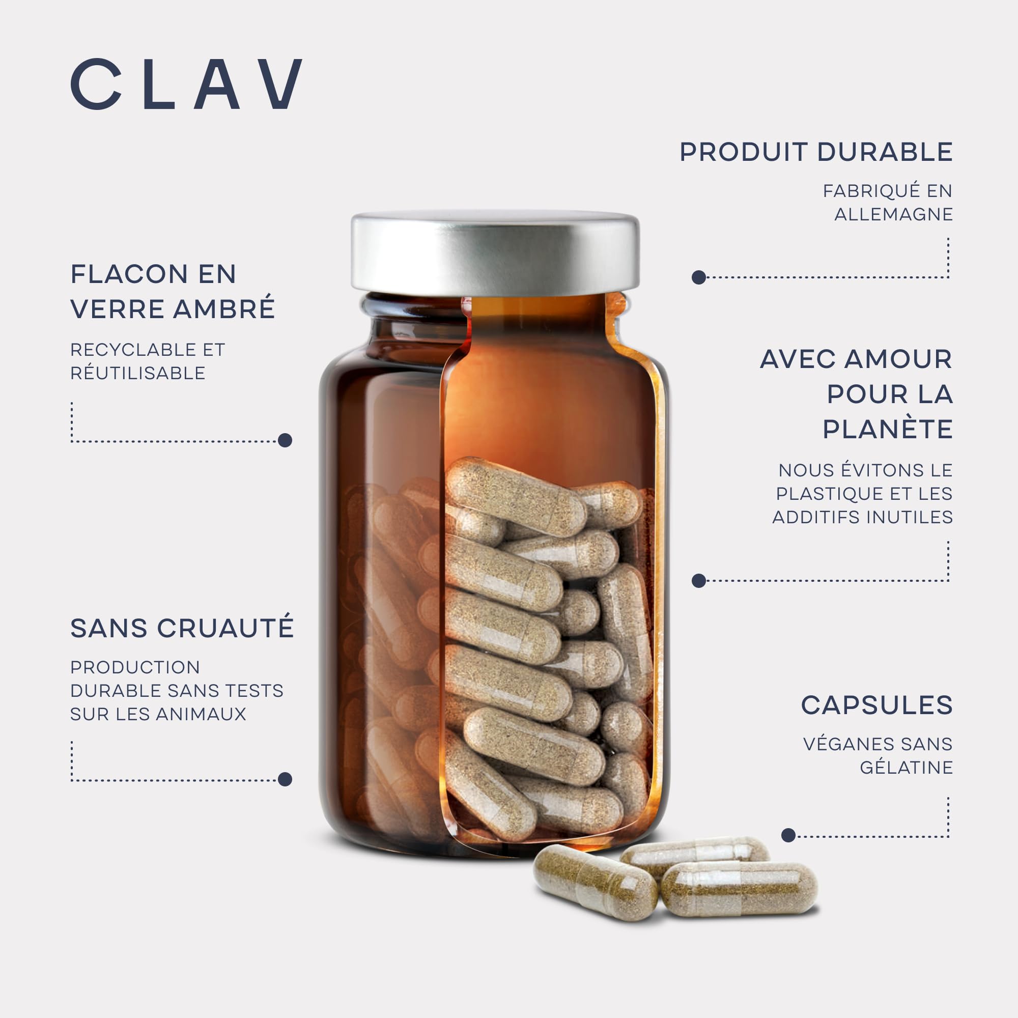 N°4 FOCUS - Supplément Nootropique - Brain Booster améliore la Memoire et Concentration - avec Citicoline + Ginko Biloba + Bacopa Brahmi - 60 Gélules Végan - CLAV Nootropics