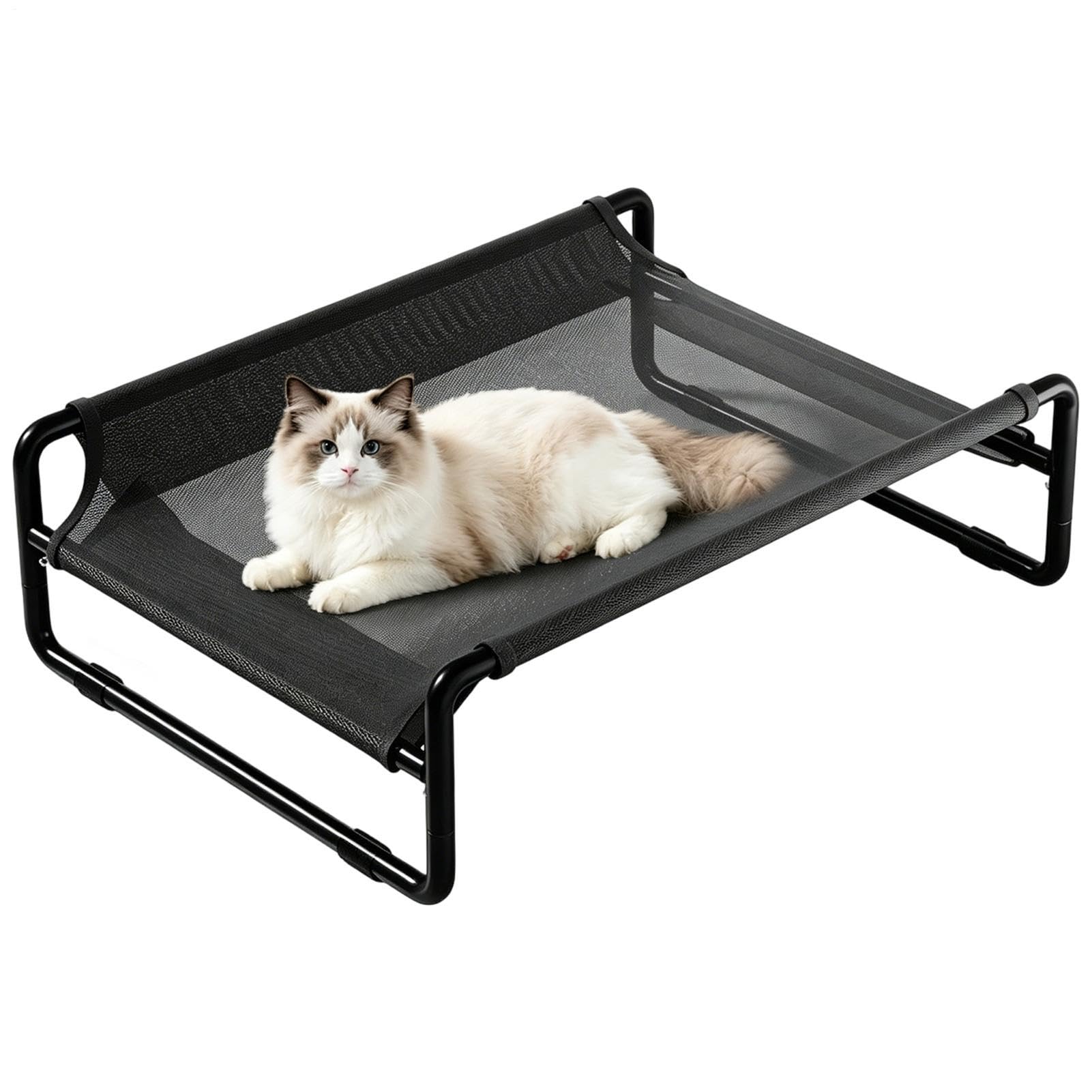 Lit surélevé pour chien pour camping et pique-nique en plein air