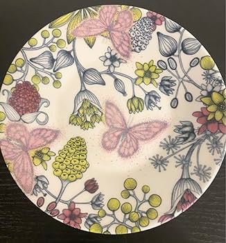 Amazon.co.jp: アラビア ルノ バタフライ プレート 16 5センチ 2