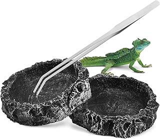 Parliky 2 Peças Tigela De Comida Recipientes De Répteis Para Comida Prato De Água De Tartaruga Tigelas De Água De Tartaruga Dragão Barbudo Tigela De Água De Resina Tigela De Água