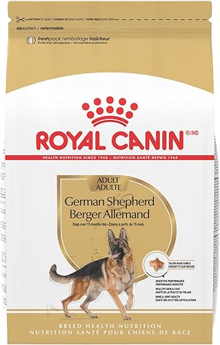 Royal Canin Breed Health Nutrition Alimento seco para perros de pastor alemán para adultos