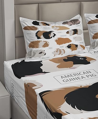 Vista 141 de Lunarable Sábana encimera de mapa del mundo, collage antiguo de mapas del Atlas antiguos, estampado vintage del grupo de civilización, suave y Beige