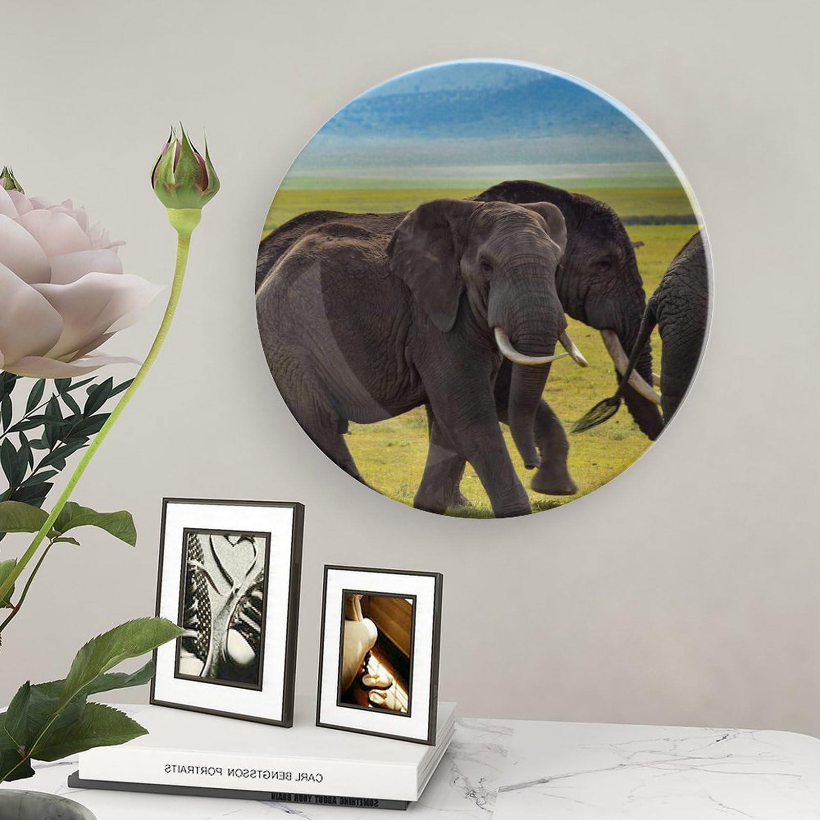 Big Cat Wildcat Decorative Hanging Plate Home Decor Accent