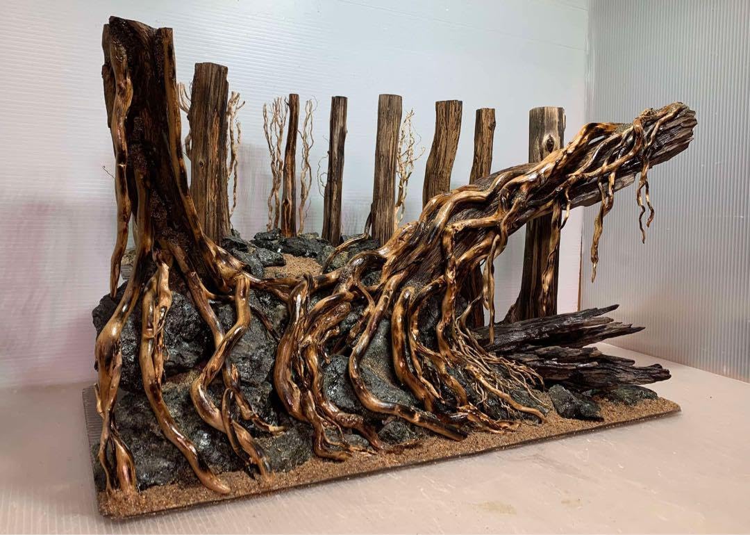 流木  淡水採取 流木 自然採取の流木 水槽 川で採集した流木のアク抜きを行って水槽へ