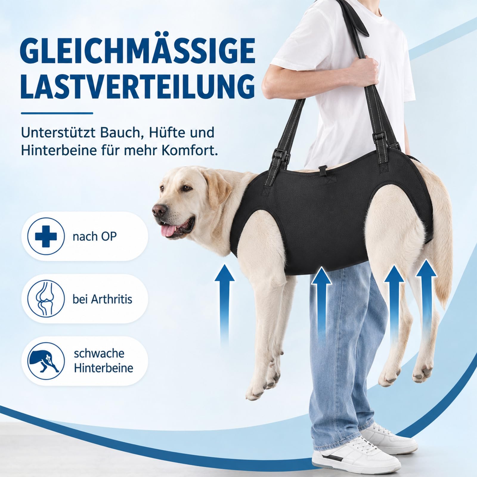 Tragehilfe Hund Groß, Hunde tragehilfe, Tragegeschirr Hund, Arthrose Geschirr Hund, Hundehebegeschirr für Verletzte Oder Ältere, Operation & Gelenkprobleme, Verstellbar & Gepolstert (L)