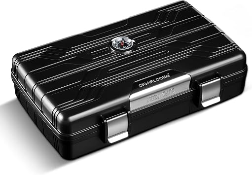 CIGARLOONG Cigar Humidor Portable Cigar Case Double Layer Hold 10 Cigar with Hygrometer and HumidifierColorSilvery