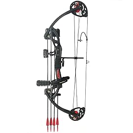 PANDARUS Compound Bow Archery for Youth and Beginner, Right/Left Handed,19-28 Draw Length,15-29 Lbs Draw Weight, 260 fps, Package with Archery Hunting Equipment Carry CaseBlack Right Handed Pro