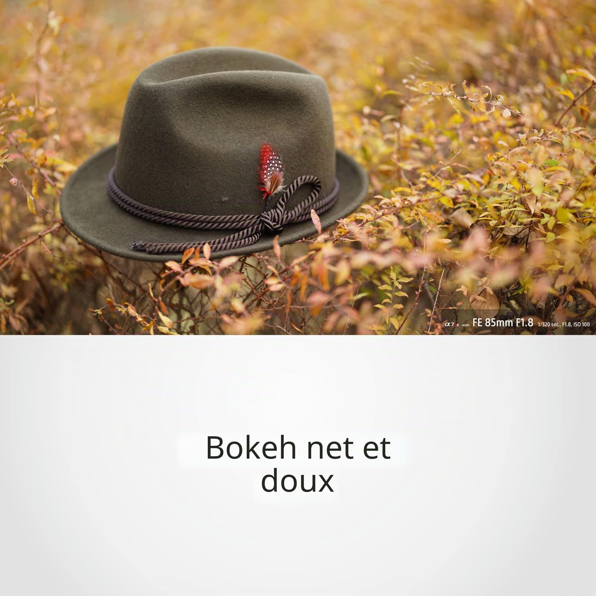 Sony SEL-85F18 Objectif de portrait à focale fixe 85 mm F/1.8 Plein format adapté aux séries A7, ZV-E10, A6000 et Nex, monture E) Noir