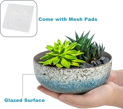 Miniatura 4 de kilolfy Happy Bonsai Pot - Maceta de cerámica esmaltada de 6.5 pulgadas para suculentas