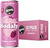 Remedy Sodaly Raspberry Prebiotic Soda, 12 x 250ml Cans - All-Natural Flavoured Fizzy Drink with Prebiotics for Gut Health - Sugar Free Soft Drink with No Artificial Sweeteners