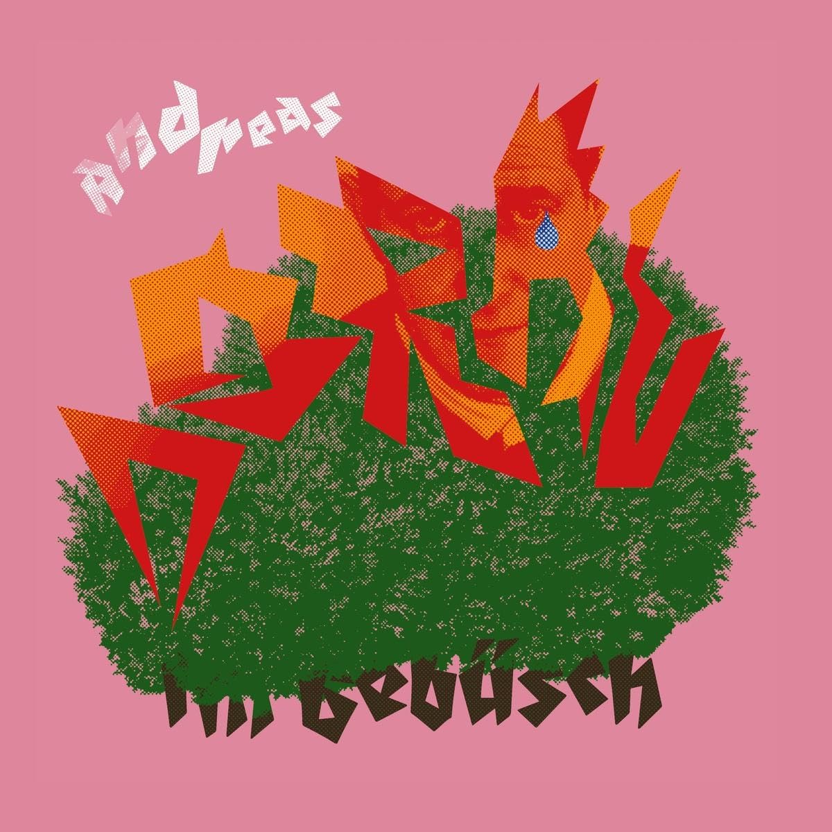 Im Gebüsch (Limited Bonus Track-Edition) [VINYL]