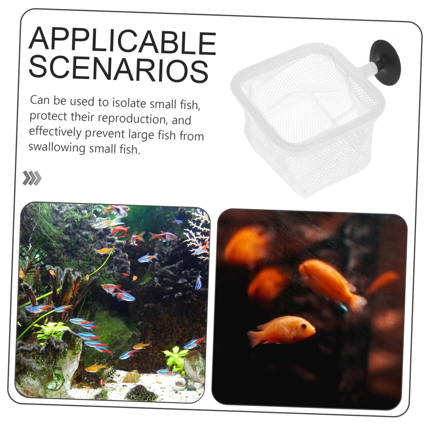 BESPORTBLE 3 Juegos De Soportes para Incubación De Peces Red para Tanque De Cría con Vasos para Incubadora De Peces (5 Unidades X 3)