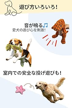 噛み噛みザウルス＆すまいるスターぬいぐるみセット - 犬用知育玩具、安全 Amazon | 【ペットホテルスタッフ推薦】噛み噛みザウルス