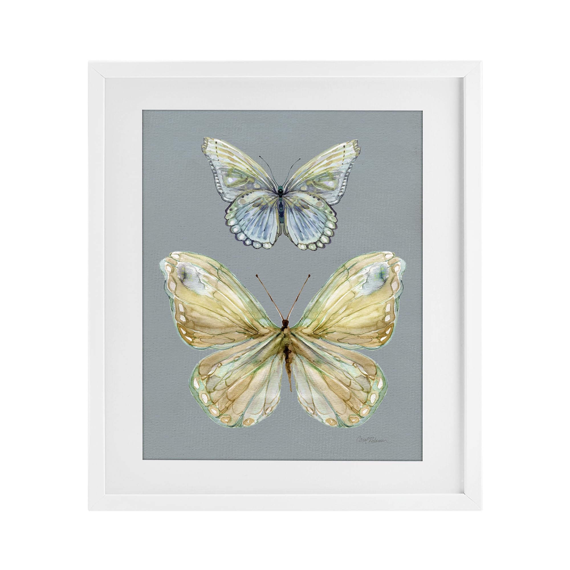 Stupell Industries Coastal White (Textured) 'Delicate Butterflies On Slate'| Framed Print Under Glass