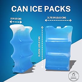Healthy Packers Ice Packs for Coolers | Can Coolers | Breastmilk Cooler Ice Pack | Long-Lasting Reusable Ice Packs - 6 Can (Pack of 2)