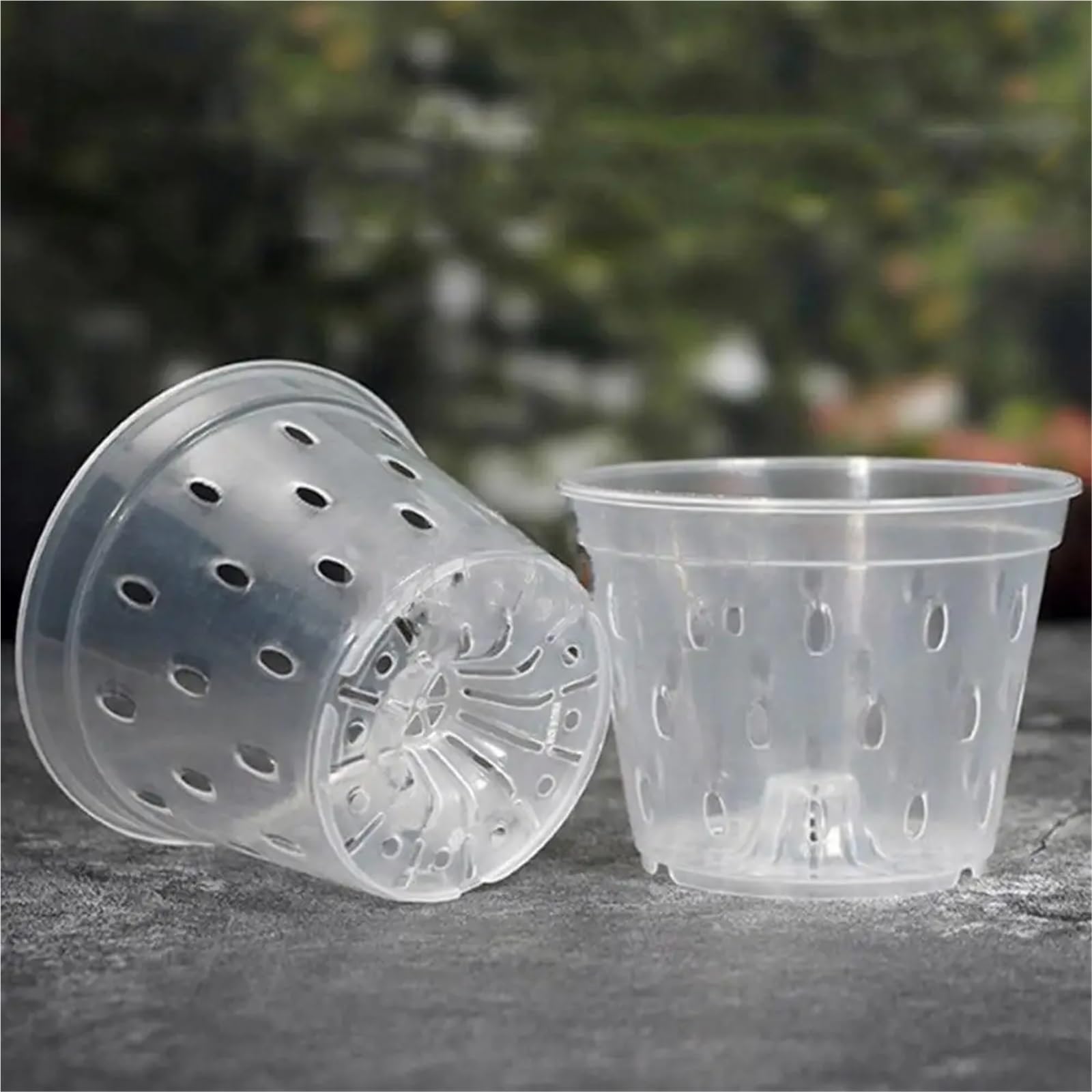 Lot de 10 Pots à orchidées Transparents avec Trous, en Plastique ventilé, for rempoter et cultiver des extérieur pour Intérieur, Jardin(15cm)
