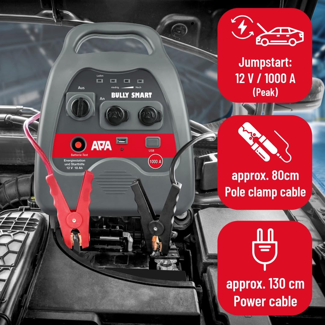 APA 16524 - Batería para Coche (12-24 V, 900 A)