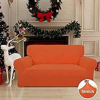 Vista 405 de Easy-Going Funda Elástica para Sofá de 1 Pieza Protector de Muebles para Sofá Suave con Parte Inferior Elástica para Niños, Tela Jacquard