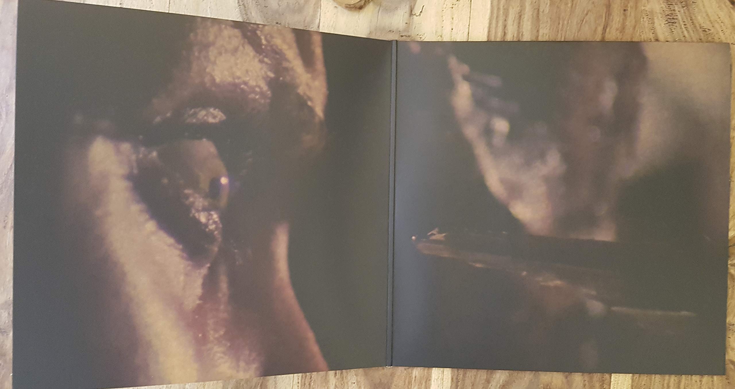 Zombie Flesh Eaters (Green Remastered
