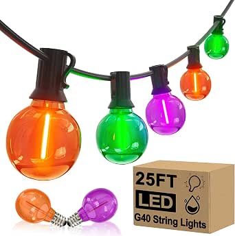 25FT G40 Halloween String Lights with 25 LED Globe Bulbs, Plug-in, Purple/Orange/Green