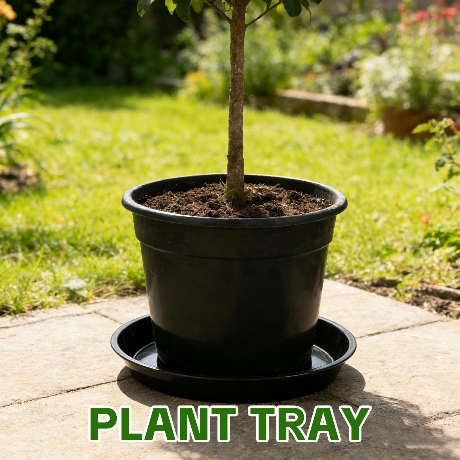 Rainmae Lot de 12 soucoupes rondes en plastique pour plantes - 35 cm - Pour intérieur et extérieur - Sans trous