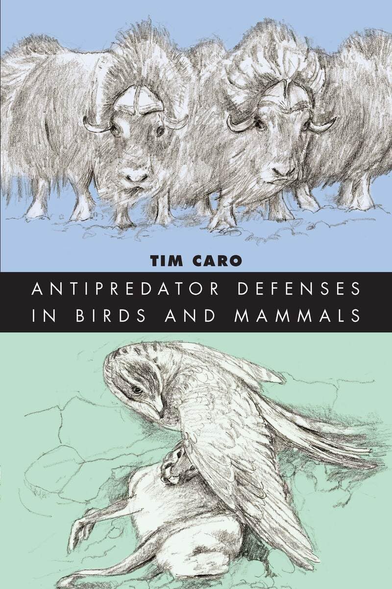 Antipredator Defenses in Birds and Mammals (Interspecific Interactions)
