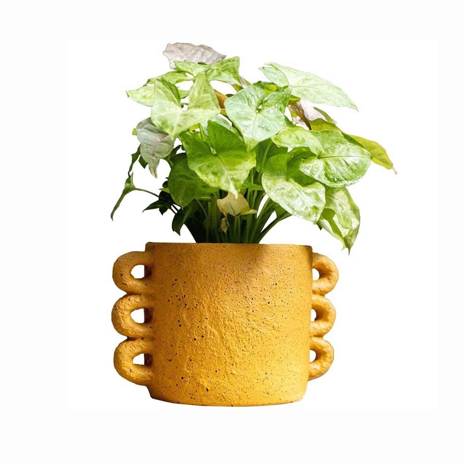 Pot de fleur en ciment style nordique élégant pour orchidée d'intérieur