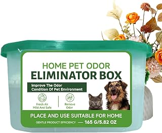 Caja de purificación de aire, filtración automática interior sin ruidos, ambientador de aire polvo animal – para habitaciones oficinas hogar, hogar, hogar, armario nuevo