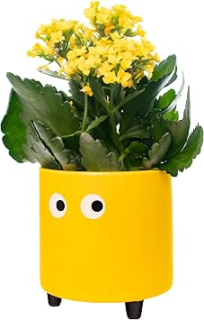 FISURA - Original Eye Flower Pot Decorative Planter Indoor Ceramic Succulent Pots. Ceramic Pot for Flowers and Succulents. 13 x 12.5 cm. Yellow