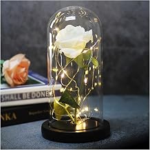 Handmade Preserved Flower Rose with Warm Light, Real Rose Gift for Woman's Wife, Birthday Gift, Decoration, Home Decor Anniversary Party Color White, Size Black Base