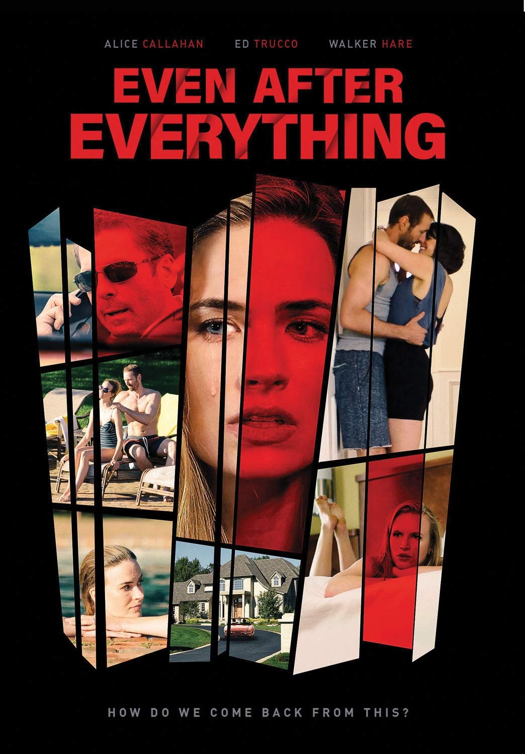 Even After Everything DVD para noches de cine dramático en casa con amigos