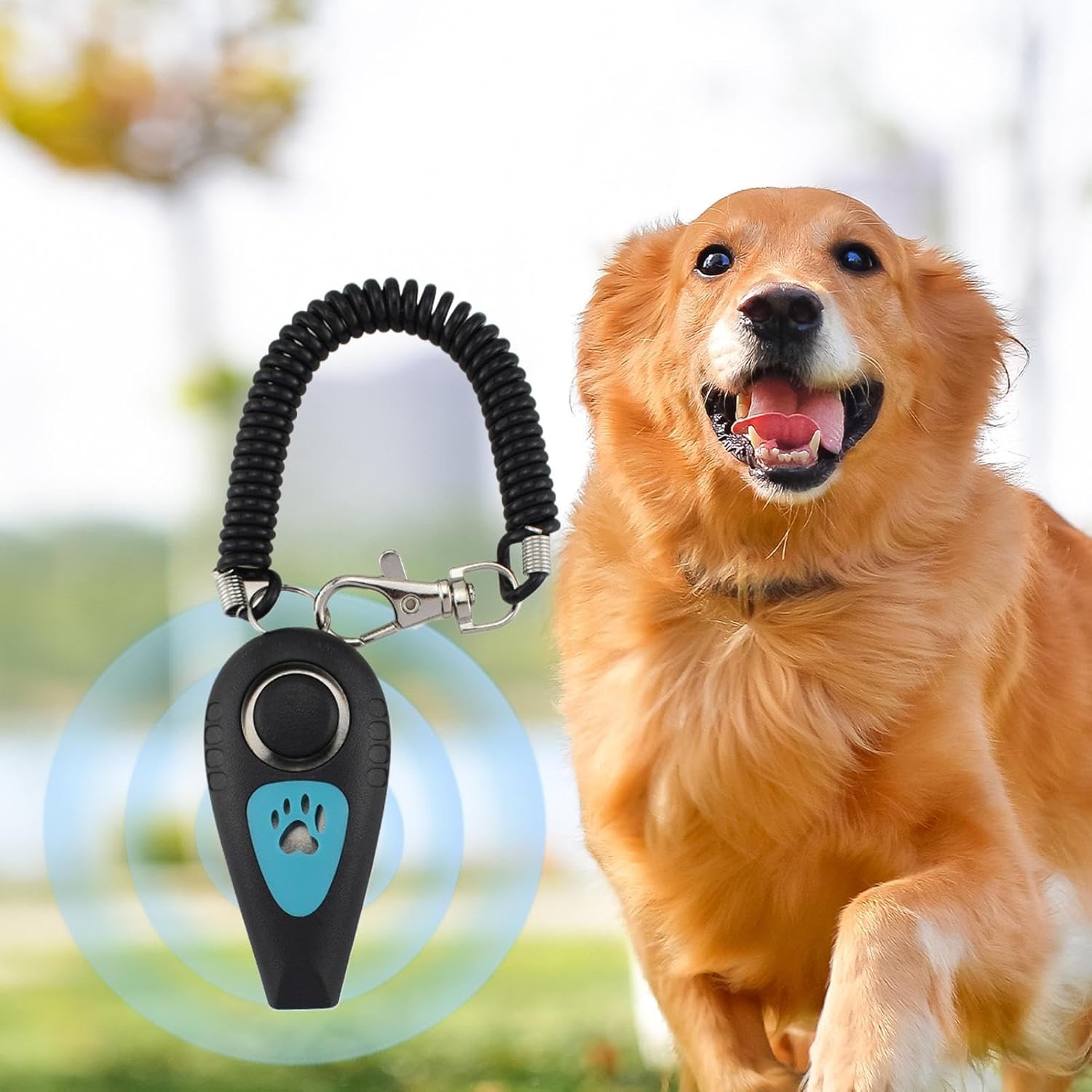 Vue rapprochée du clicker et sifflet pour dressage