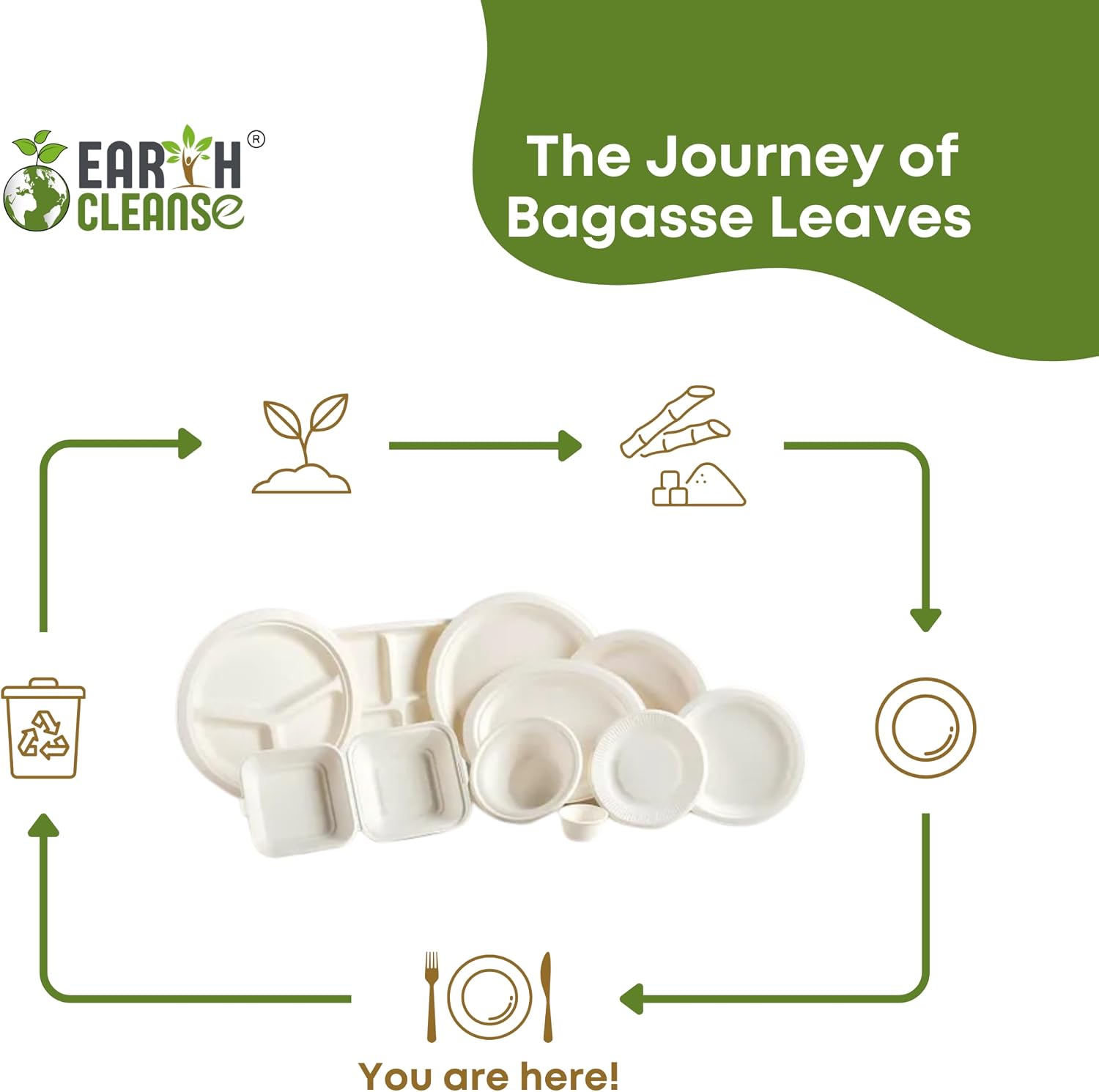 EARTH CLEANSE 8.5 oz Paper Bowls [500 Pack] – Heavy-Duty Disposable Sugarcane Bowls, Made from Bagasse, Microwave & Leak-Resistant – Great for Cereal, Salad, Snacks, and Soups