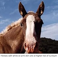 Vista 7 de Protector solar para caballos – Pure Sole Sun Block Cream Protege la piel rosa sensible del sol, quemaduras de viento y deslumbramiento de nieve