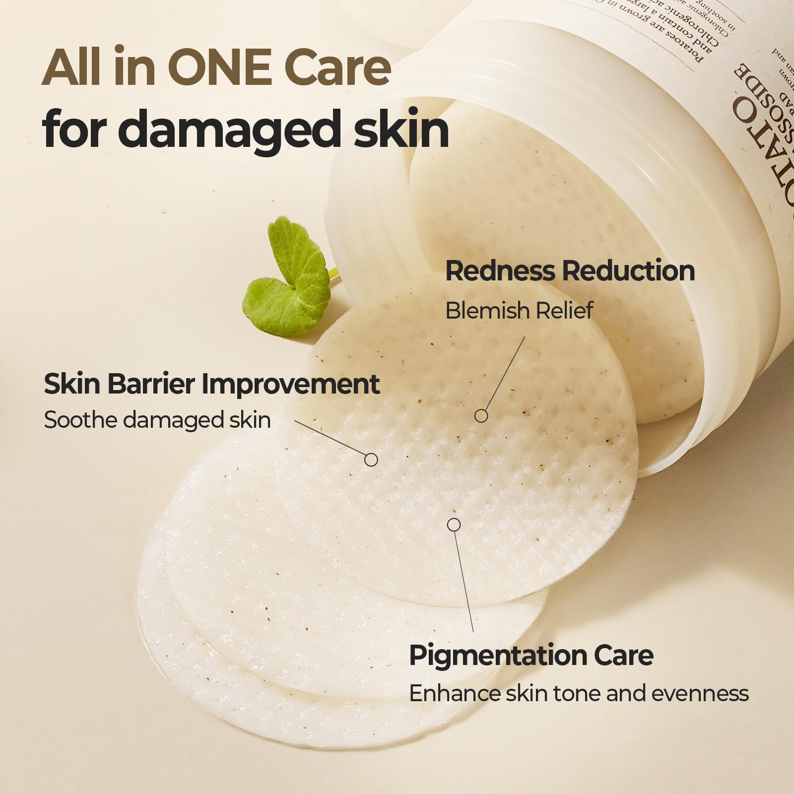 Amazon.com : SKINFOOD Potato Madecassoside Soothing Toner Pad