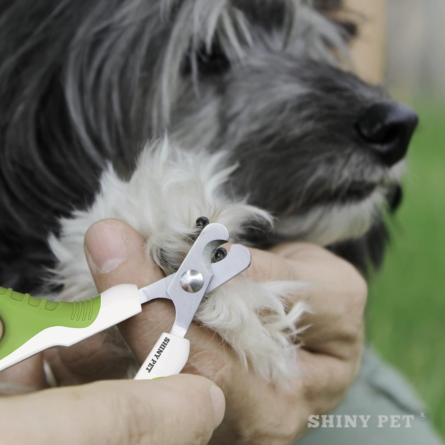 Pet Nail Clippers for Small Animals - Best Cat Nail Clippers & Claw Trimmer for Home Grooming Kit - Professional Grooming Tool for Tiny Dog Cat Bunny Rabbit Bird Puppy Kitten Ferret - Ebook Guide : Pet Supplies