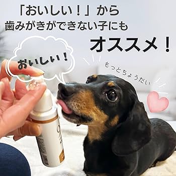 犬用口腔ジェル 楽天市場】犬用口腔ケアジェルの通販