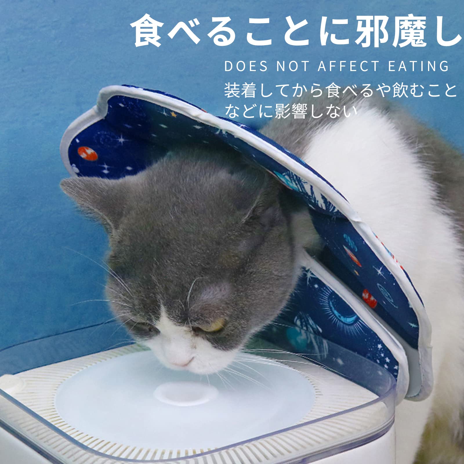 Amazon | エリザベスカラー 猫用 小型犬用 術後傷口保護 傷舐め
