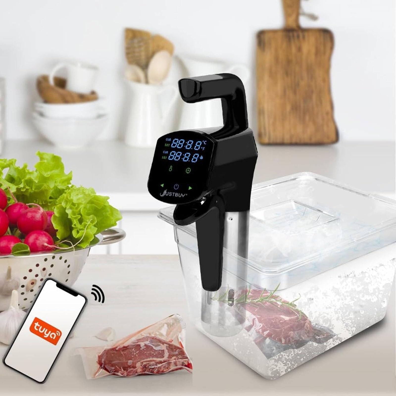 Cuiseur sous Vide, Circulateur À Immersion De Précision 1800 W avec Affichage Numérique LED, Contrôle Précis De La Température Et du Temps, pour Steak, Poulet, Poisson Et Légumes