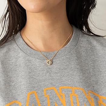 Amazon.co.jp: [フェラガモ]ネックレス アクセサリー ガンチーニ