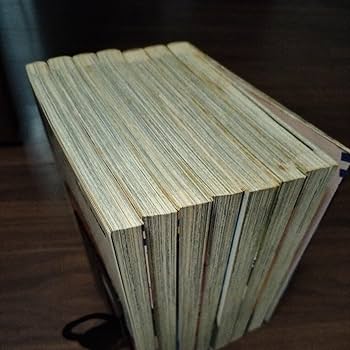 富士見ドラゴンブック 他 78冊一括 Amazon.co.jp: 古本 ドラゴンハーフ Dragon Half 見田竜介