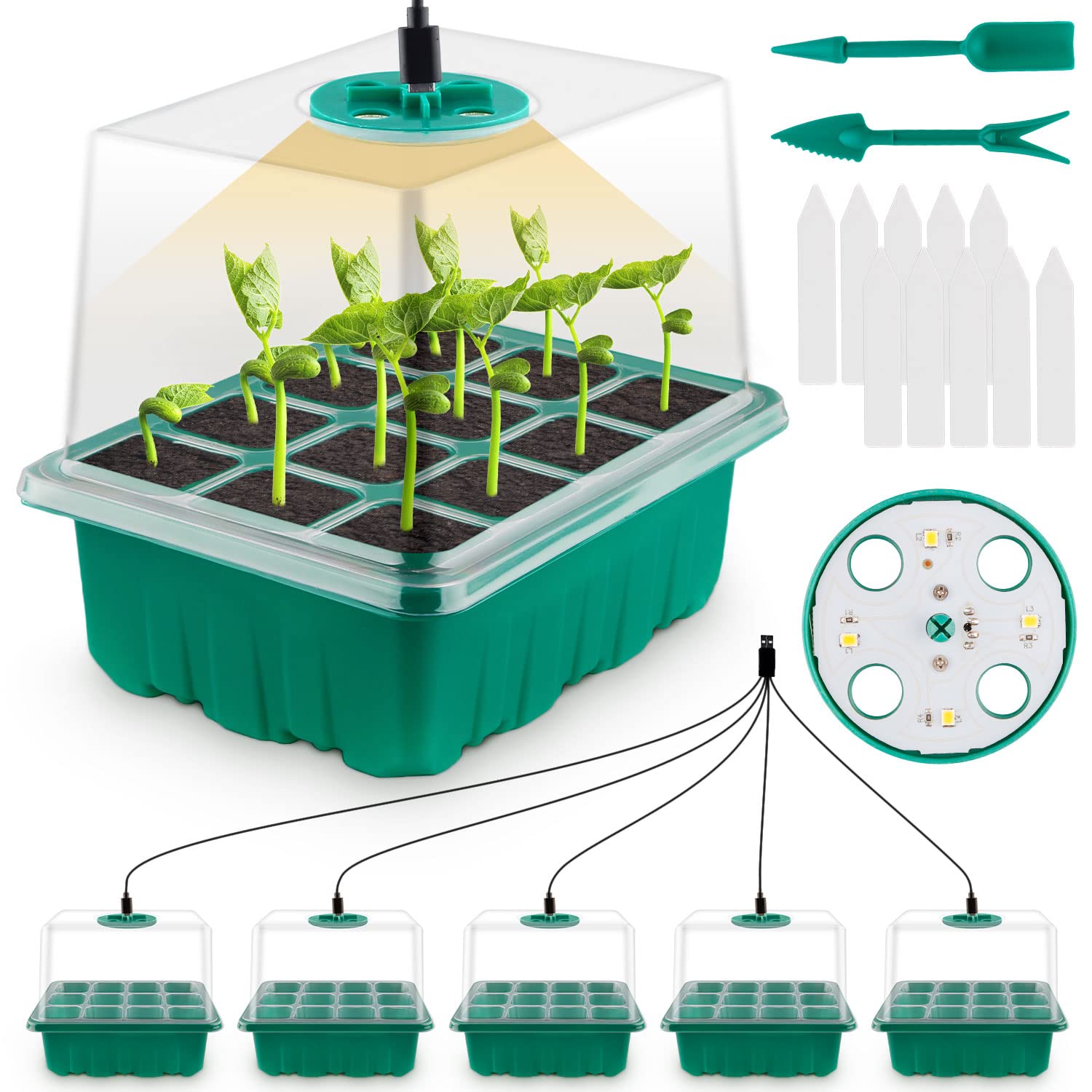 Buy 5 Pack Seed Trays with Grow Light Seed Propagator with