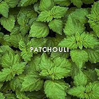 Vista 5 de Perfume Sung by Alfred Sung para hombres, Hombres