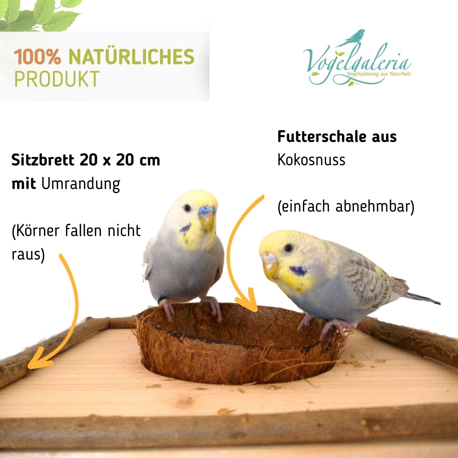 Vogelgaleria Planchette avec Bol en Noix de Coco Amovible Mangeoire pour Oiseaux
