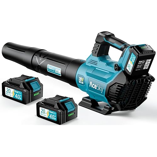 Leaf Blower Cordless - 2025 Update 150000RPM & 3 Speed Levels Electric Leaf Blower with 2 x 4.0Ah Battery and Charger, Extension Tube Blower for Lawn Care, Yard, Garage, Blowing Leaves, Dust or Snow