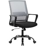 Ergonomic Desk Chair Swivel Rolling Computer Chair Executive Lumbar Support Task Mesh Chair Adjustable Stool for Women Men,Grey
